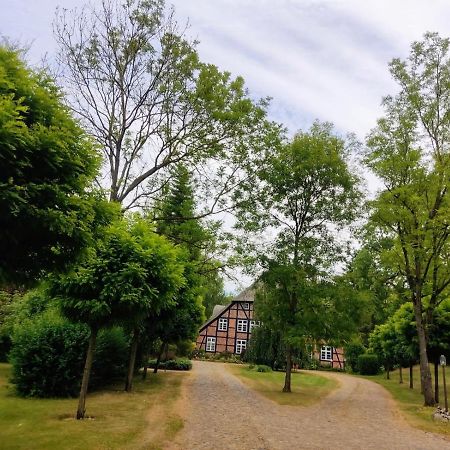 Chalet Forsthof Everstorf - Kleine Wohnung Grevesmuehlen Luaran gambar