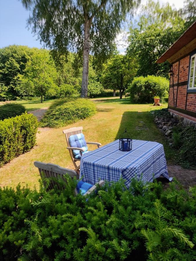 Chalet Forsthof Everstorf - Kleine Wohnung Grevesmuehlen Luaran gambar